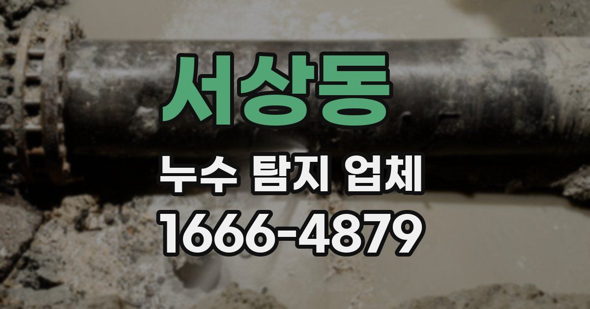 서상동 누수 탐지 업체