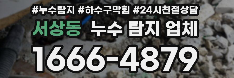 서상동 누수 탐지 업체