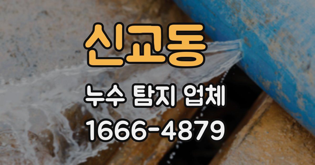 신교동 누수 탐지 업체