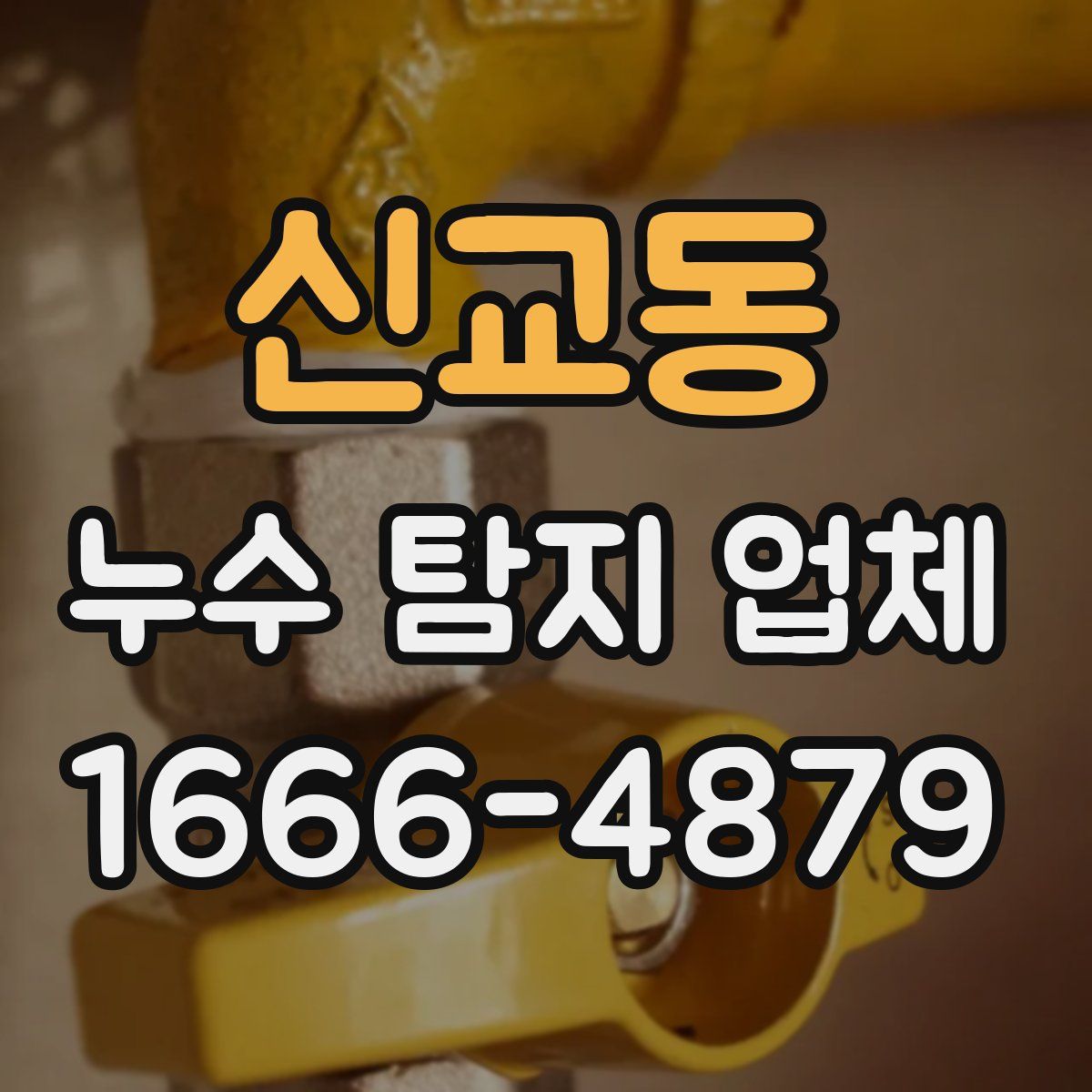 신교동 누수 탐지 업체