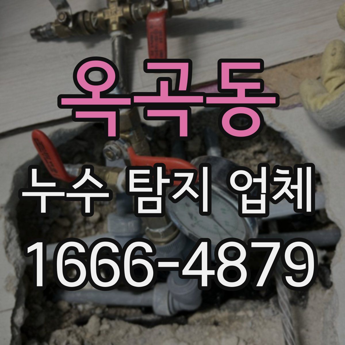 옥곡동 누수 탐지 업체