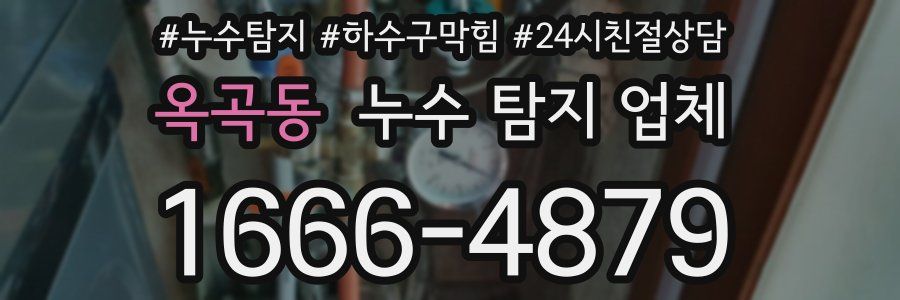 옥곡동 누수 탐지 업체