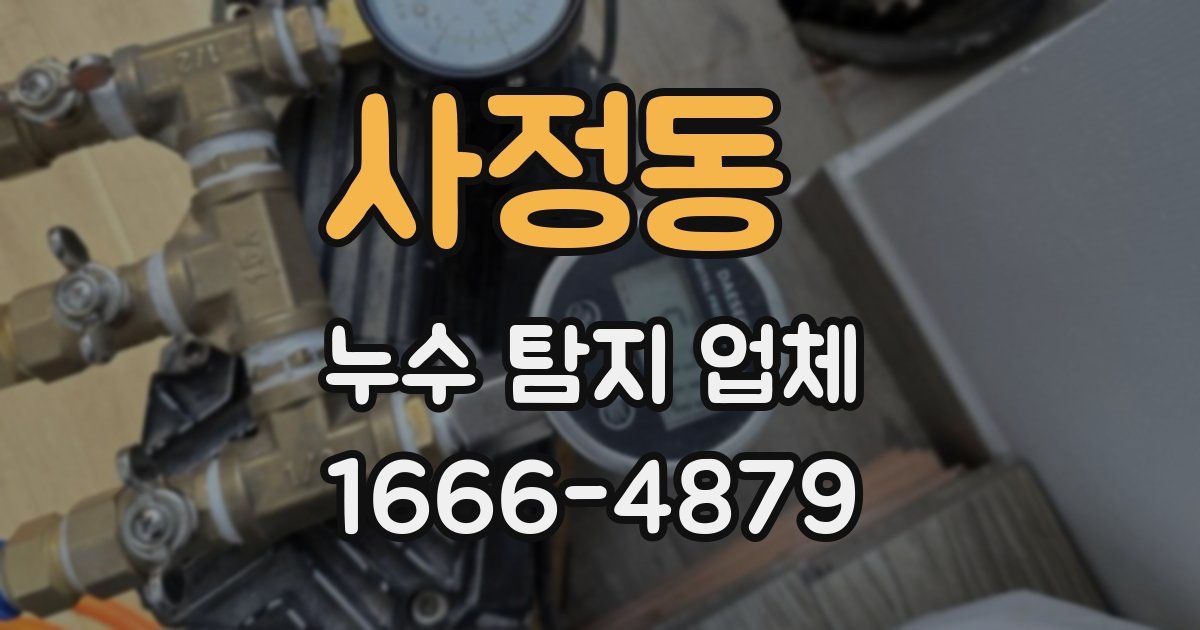 사정동 누수 탐지 업체
