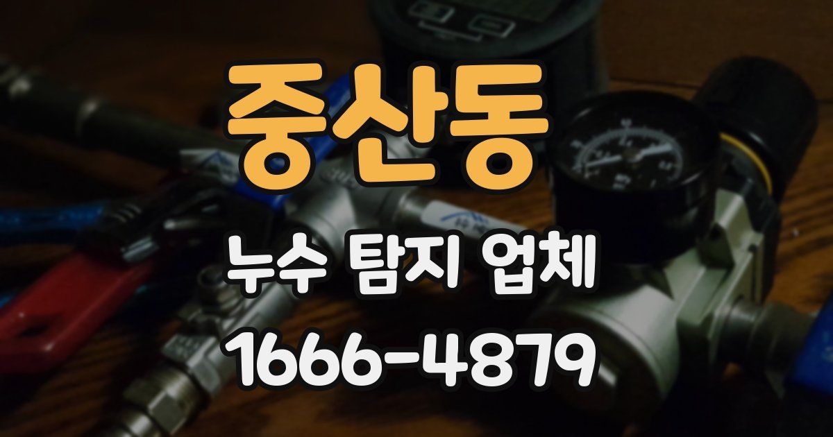 중산동 누수 탐지 업체