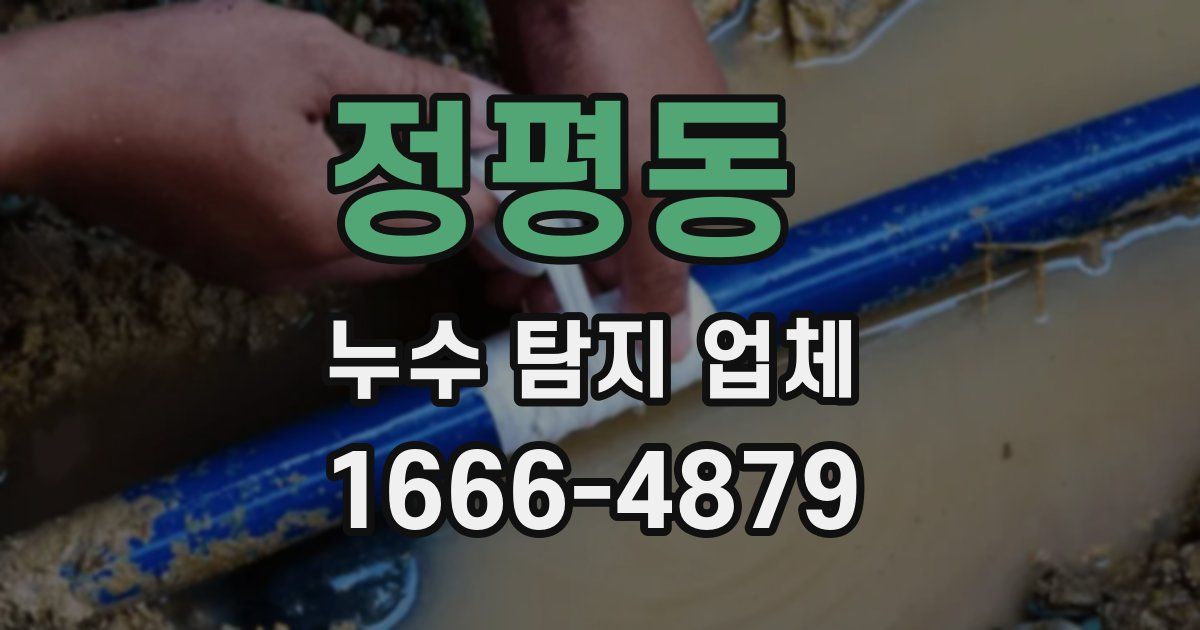 정평동 누수 탐지 업체
