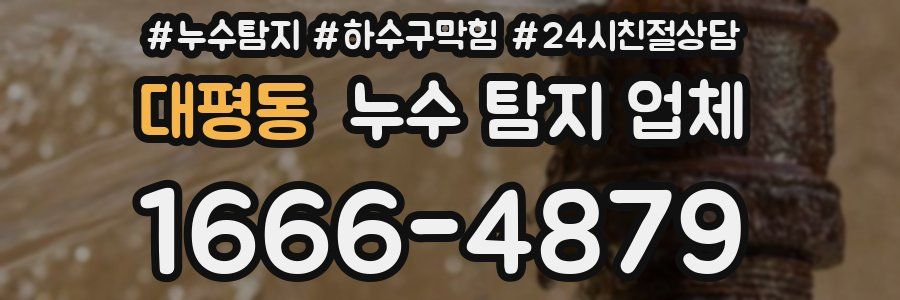 대평동 누수 탐지 업체