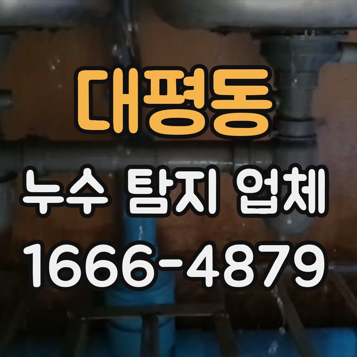 대평동 누수 탐지 업체