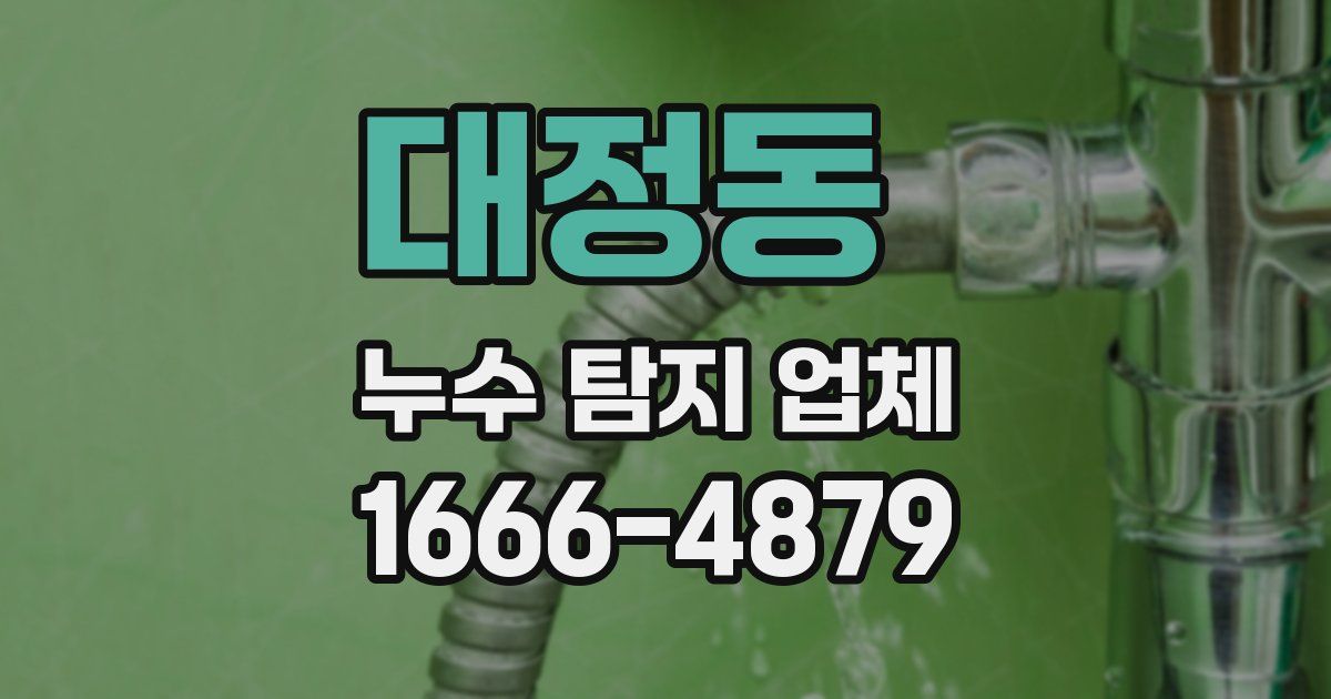 대정동 누수 탐지 업체