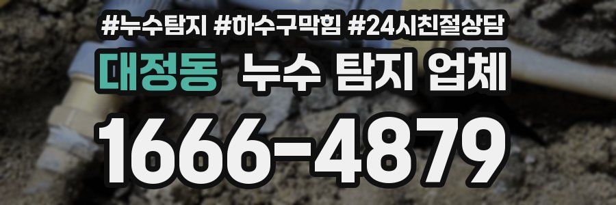 대정동 누수 탐지 업체