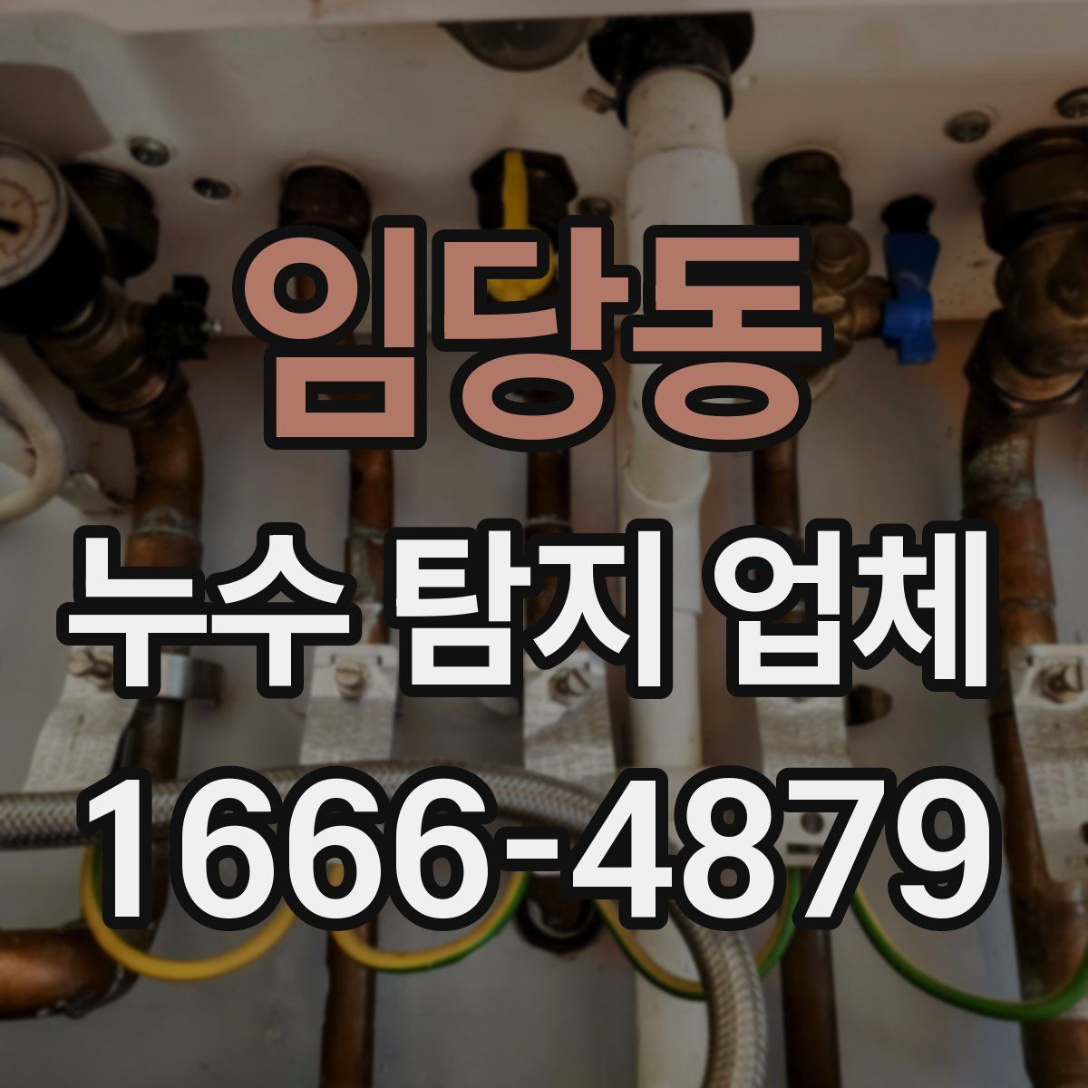 임당동 누수 탐지 업체