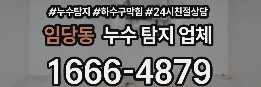 임당동 누수 탐지 업체