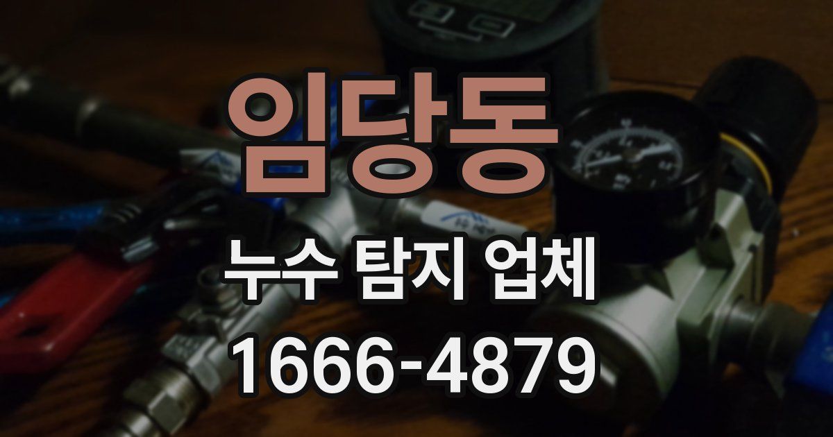 임당동 누수 탐지 업체