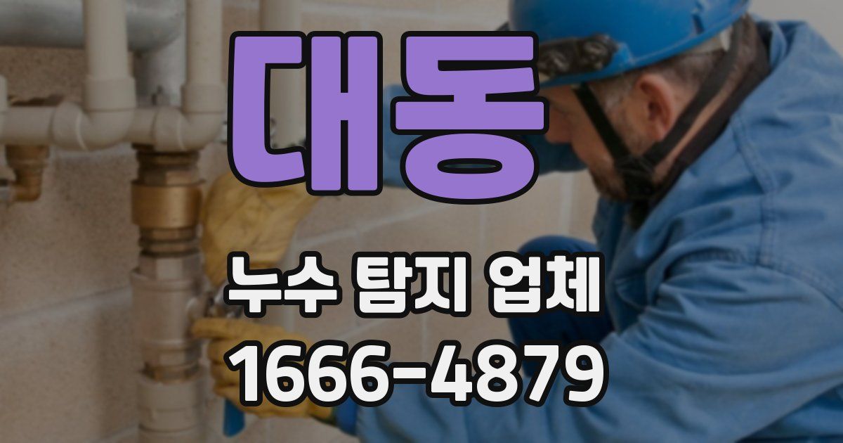 대동 누수 탐지 업체