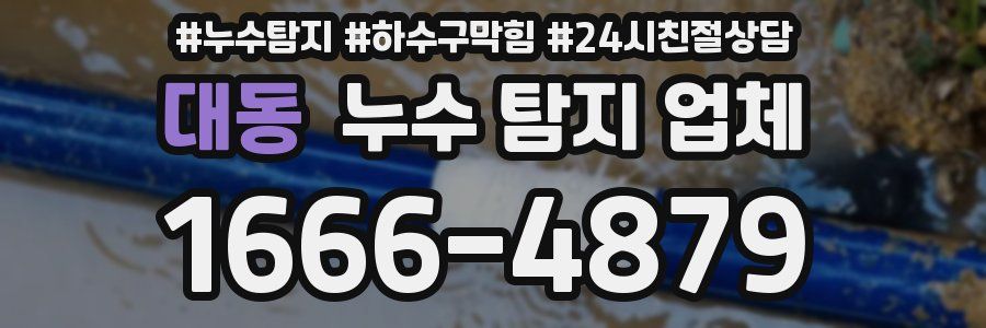대동 누수 탐지 업체