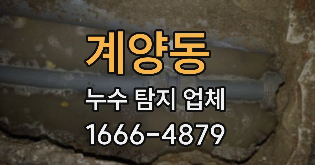 계양동 누수 탐지 업체