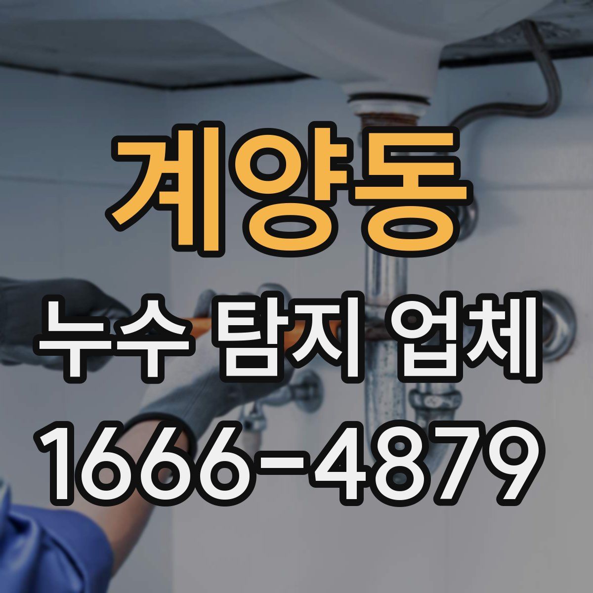 계양동 누수 탐지 업체