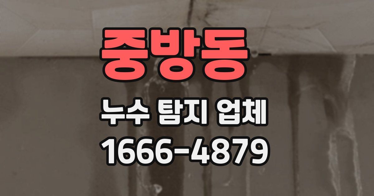 중방동 누수 탐지 업체