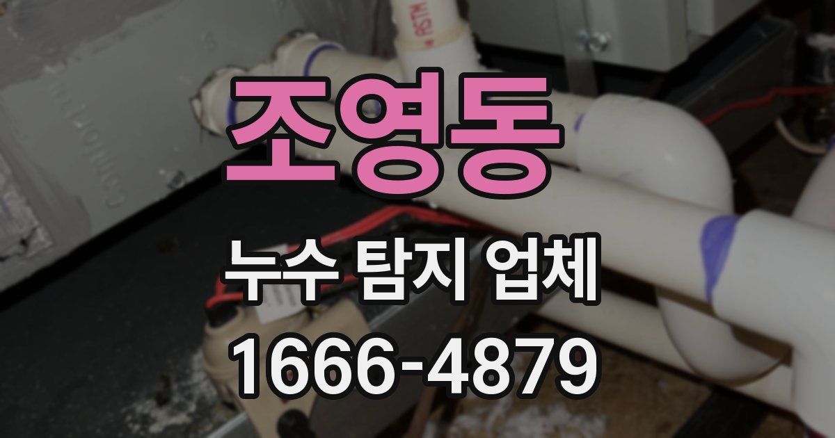 조영동 누수 탐지 업체