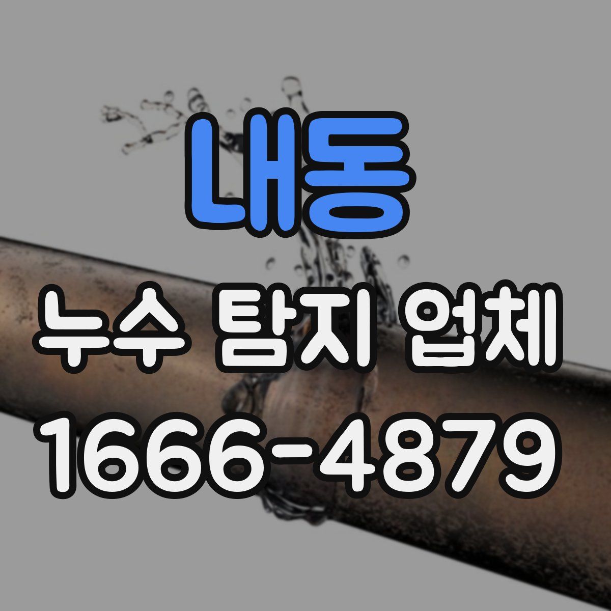 내동 누수 탐지 업체