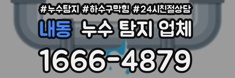 내동 누수 탐지 업체