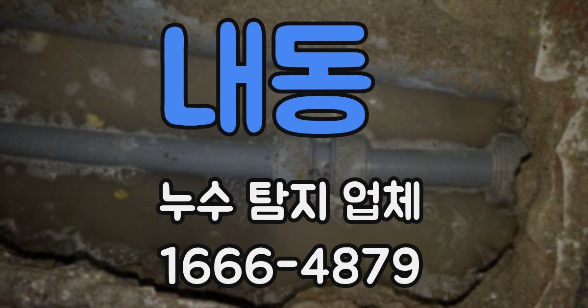 내동 누수 탐지 업체