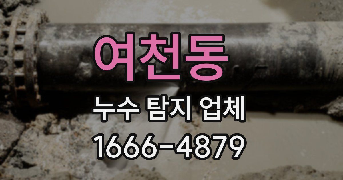 여천동 누수 탐지 업체
