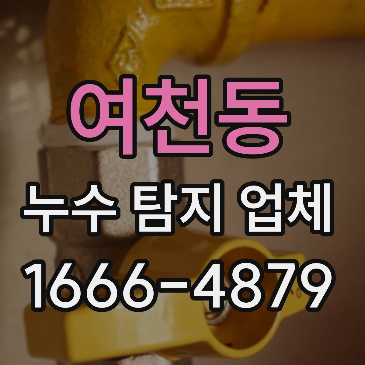 여천동 누수 탐지 업체