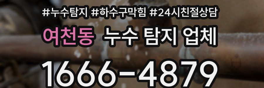 여천동 누수 탐지 업체