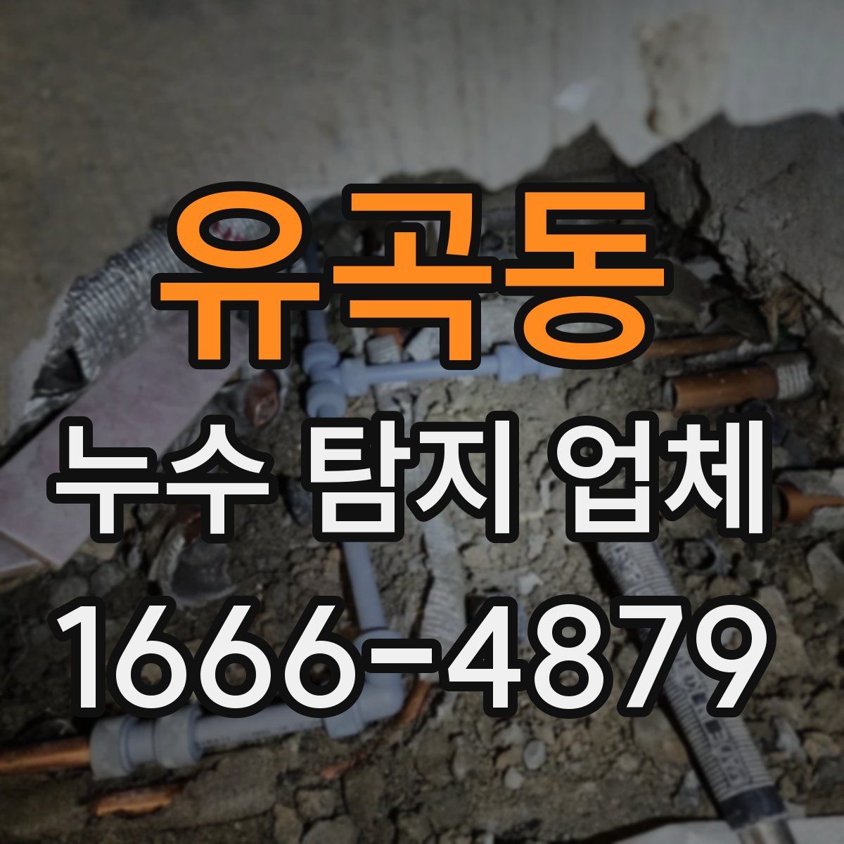 유곡동 누수 탐지 업체