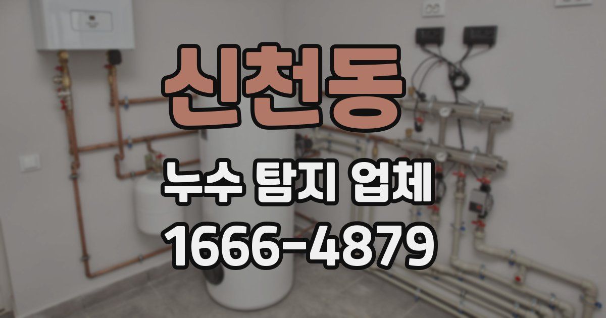 신천동 누수 탐지 업체
