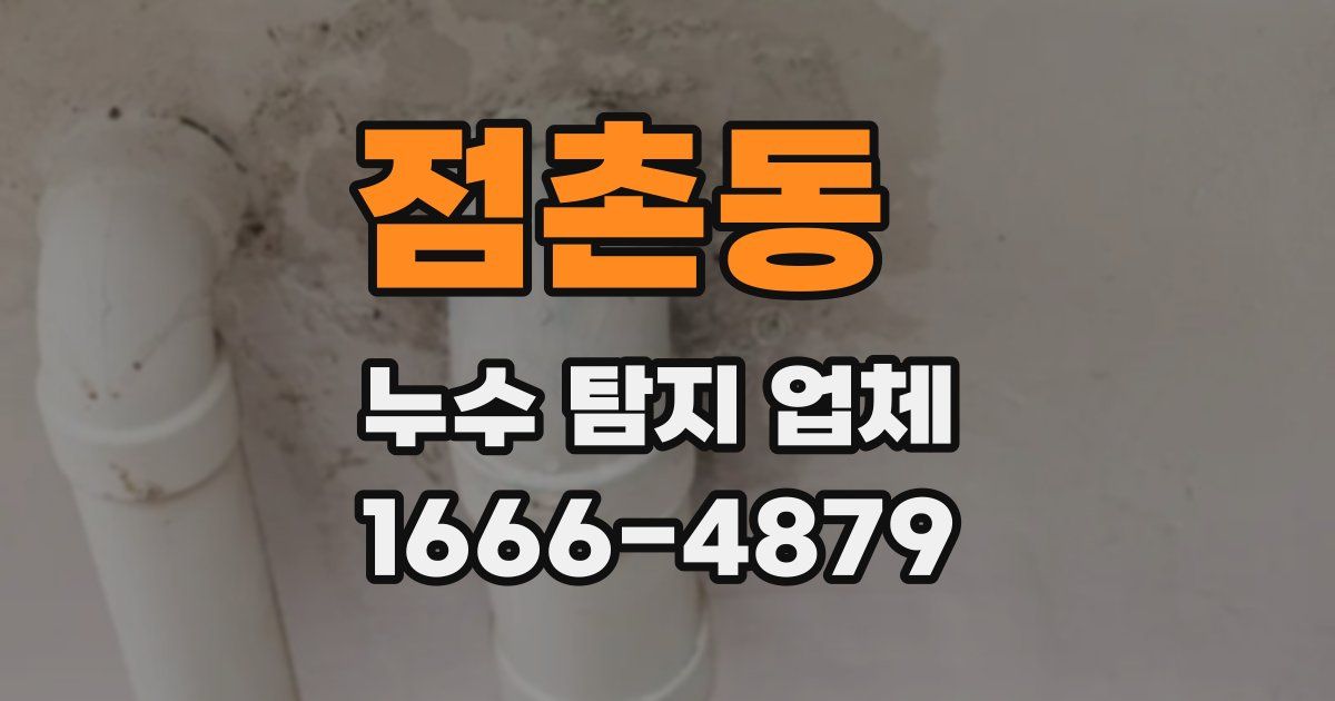 점촌동 누수 탐지 업체