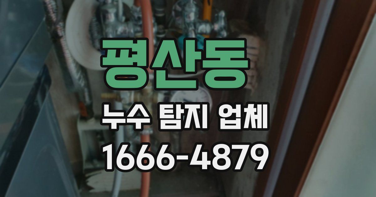 평산동 누수 탐지 업체