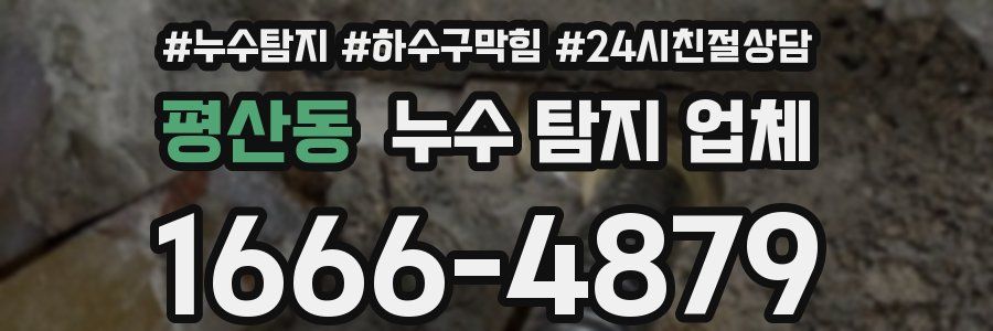 평산동 누수 탐지 업체