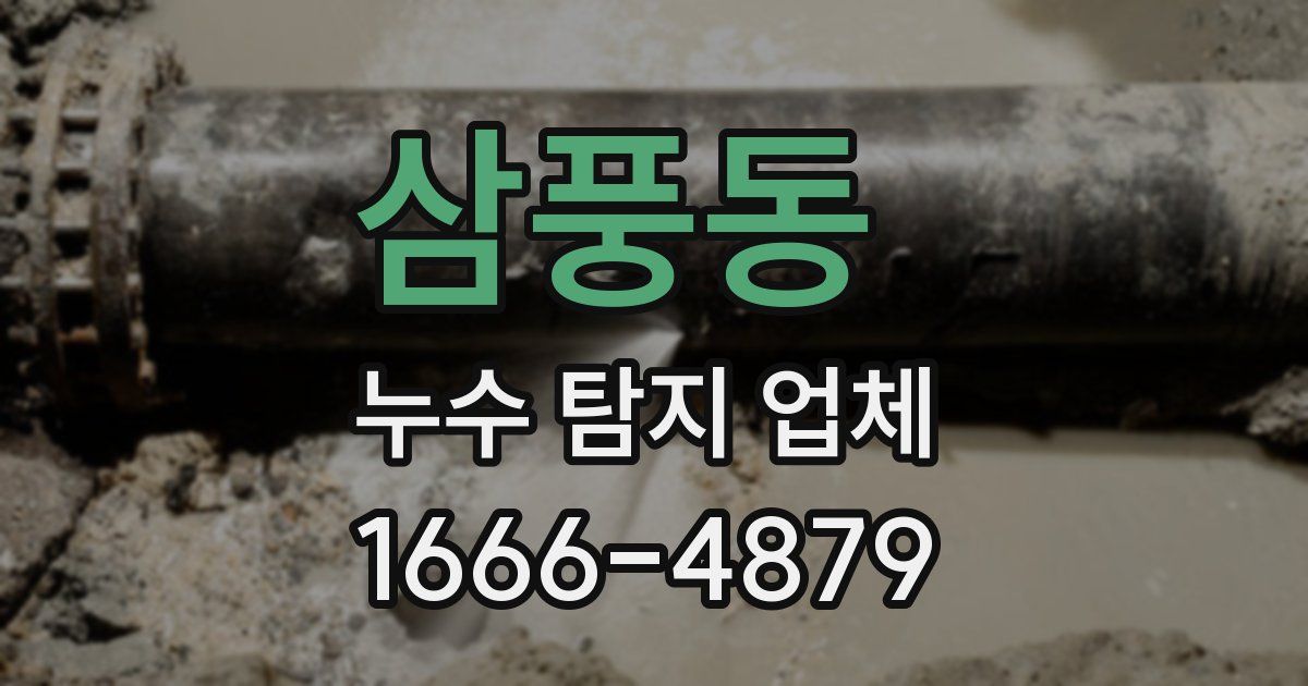 삼풍동 누수 탐지 업체