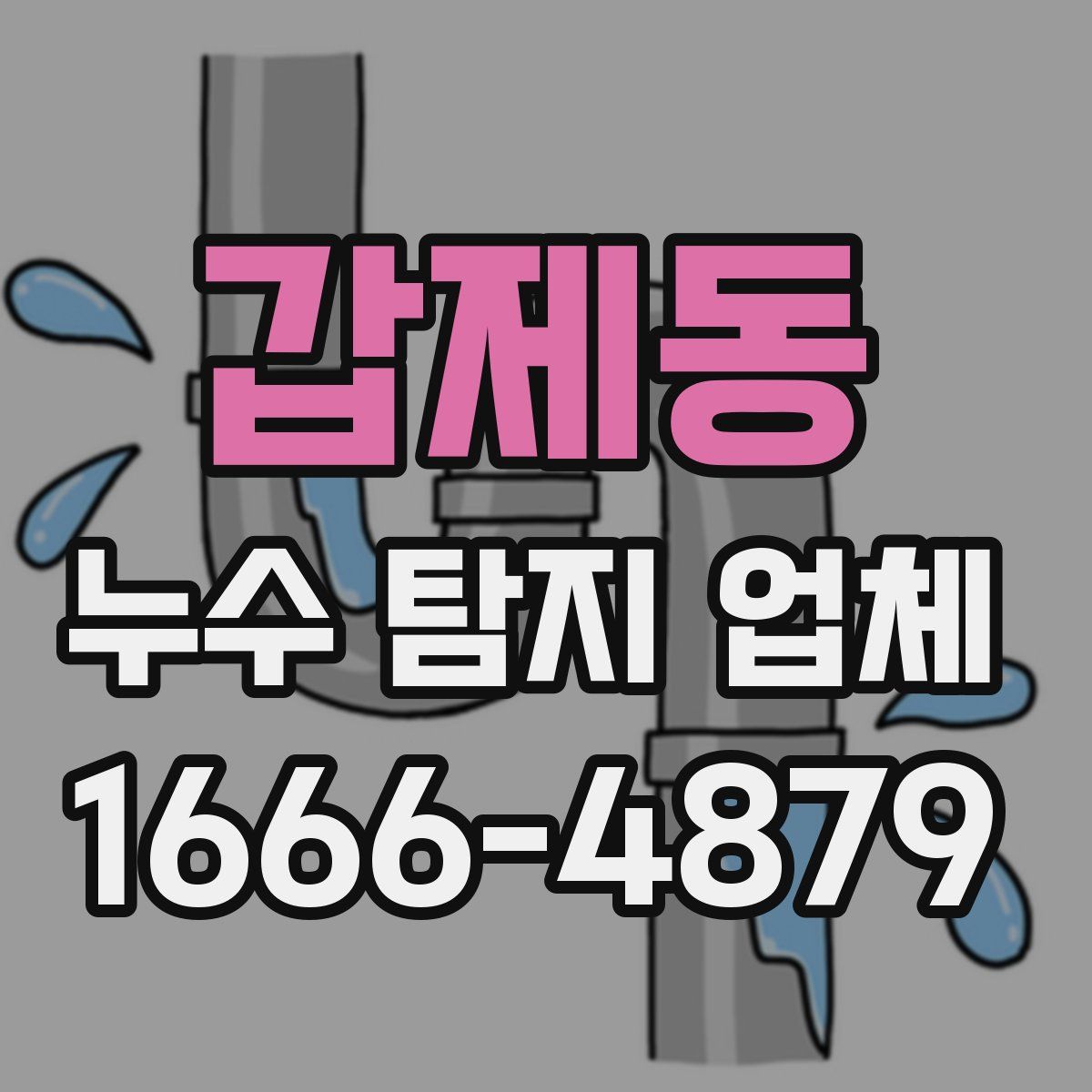 갑제동 누수 탐지 업체