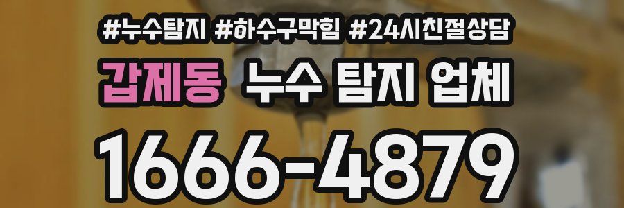 갑제동 누수 탐지 업체