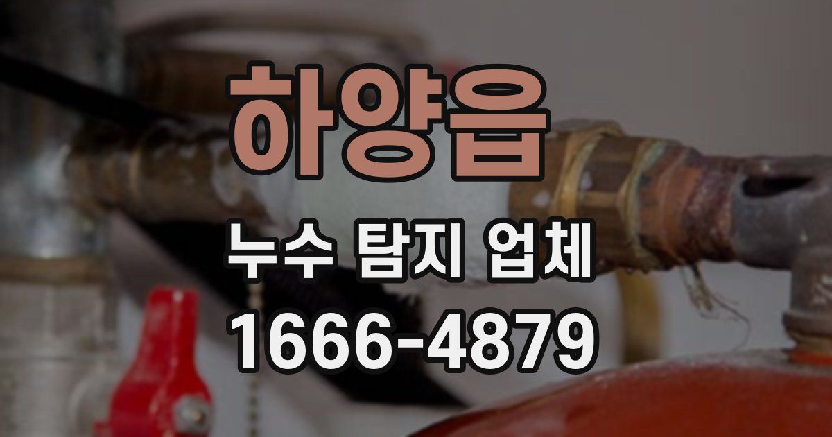 하양읍 누수 탐지 업체