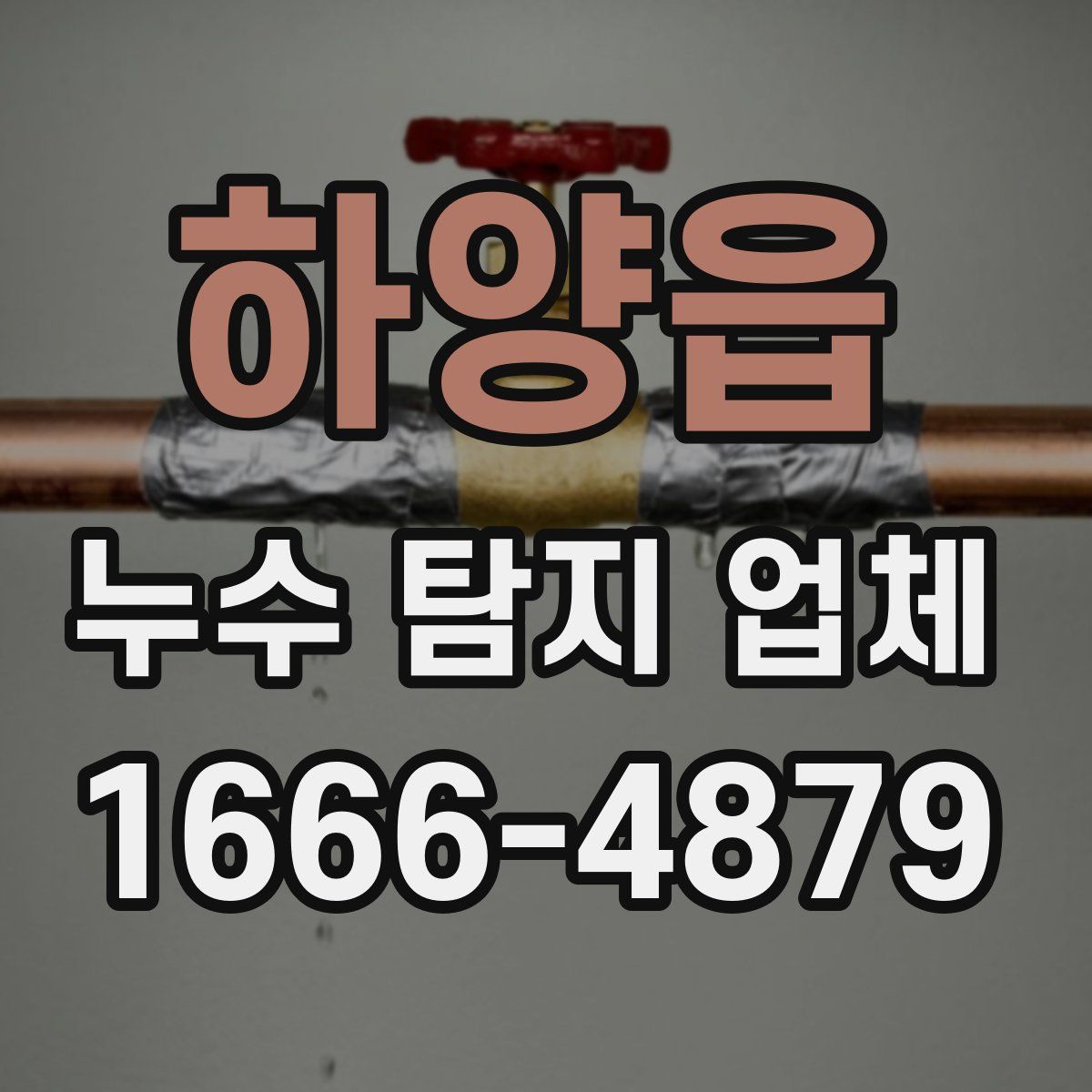 하양읍 누수 탐지 업체