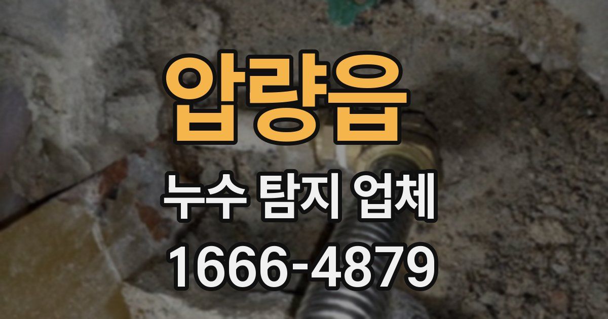 압량읍 누수 탐지 업체