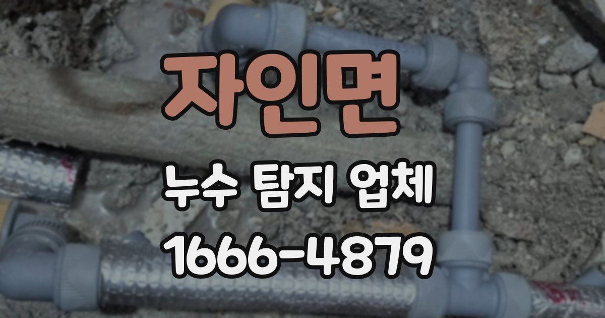 자인면 누수 탐지 업체