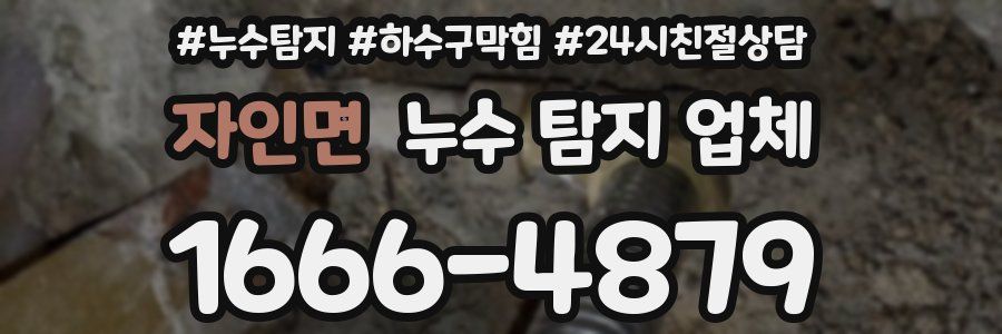 자인면 누수 탐지 업체