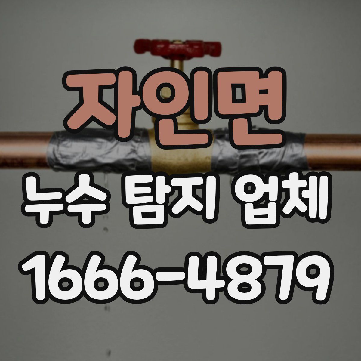 자인면 누수 탐지 업체