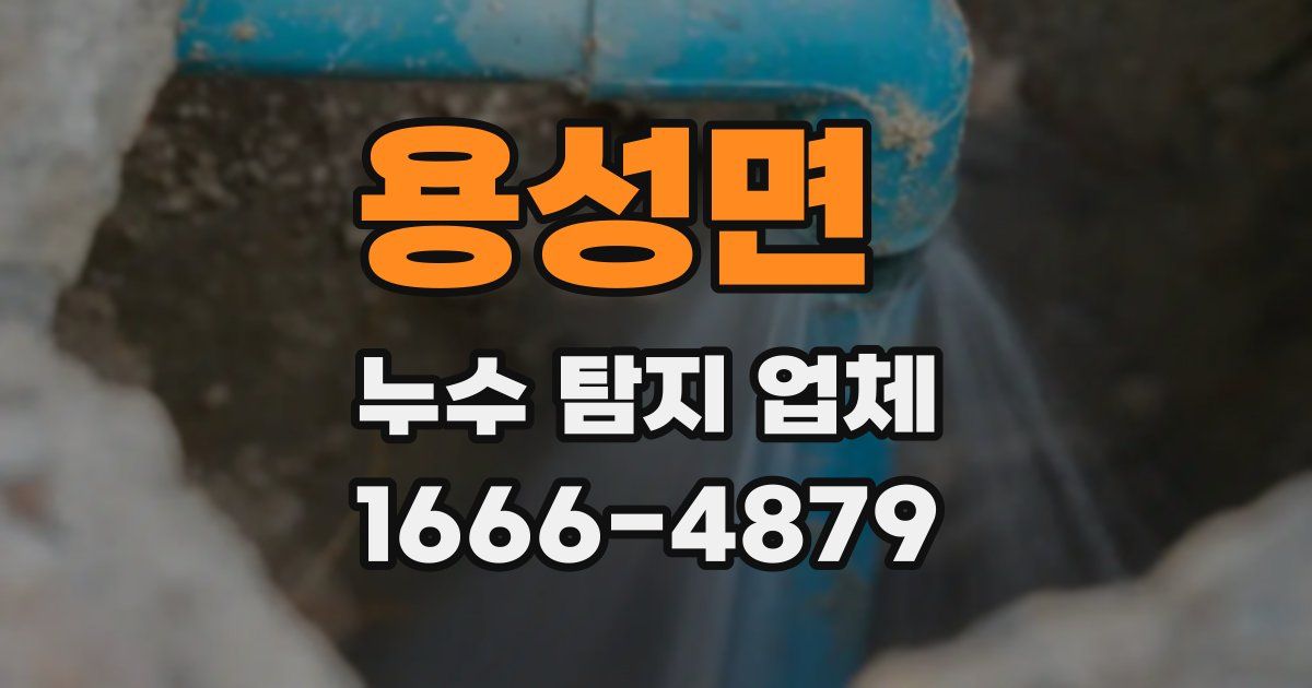 용성면 누수 탐지 업체