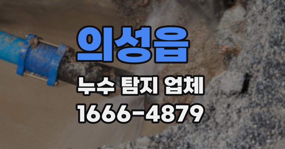 의성읍 누수 탐지 업체