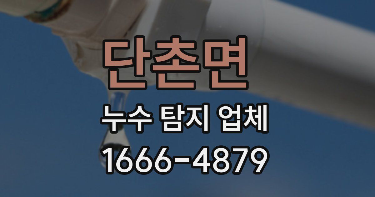 단촌면 누수 탐지 업체