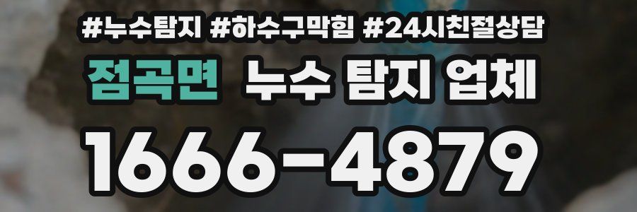 점곡면 누수 탐지 업체