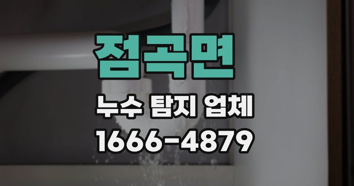 점곡면 누수 탐지 업체