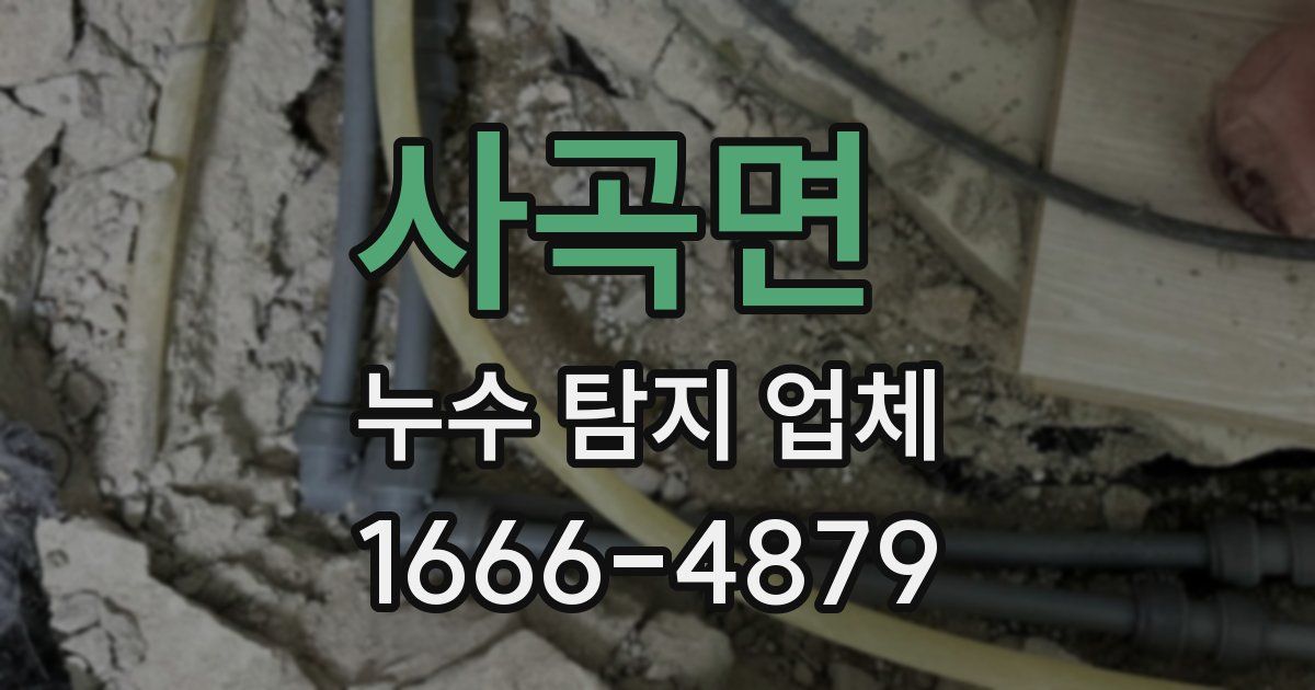 사곡면 누수 탐지 업체