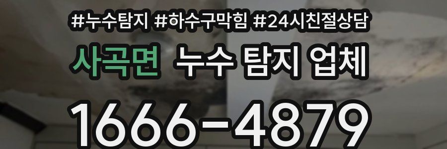 사곡면 누수 탐지 업체