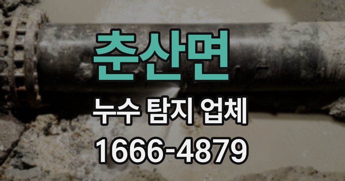 춘산면 누수 탐지 업체